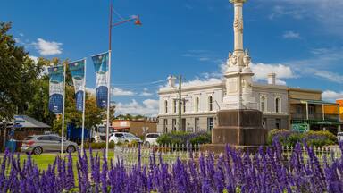 A monument with a statue, surrounded by purple flowers, in front of a building with banners and a street sign.