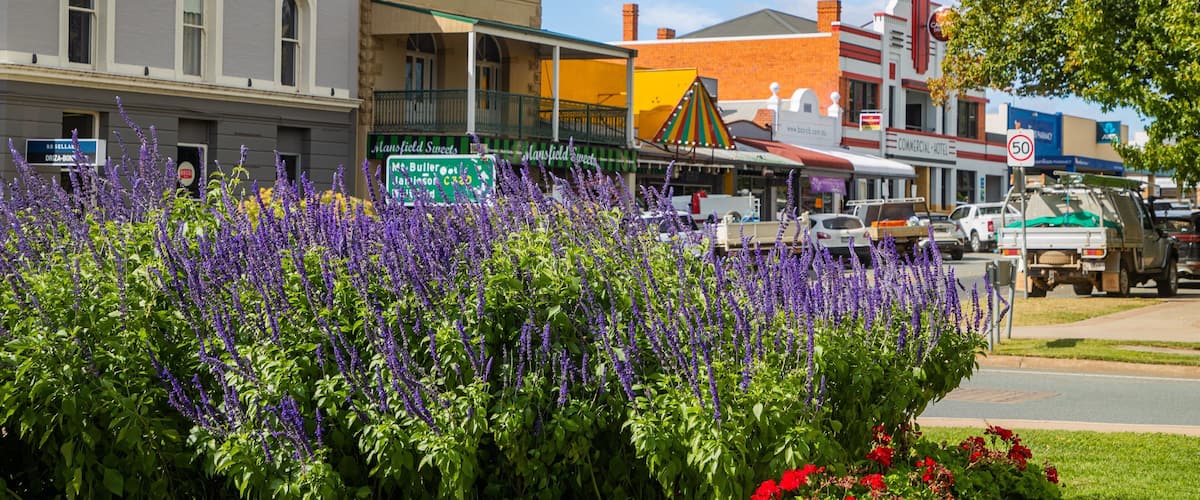 A street with buildings, a flag, and purple flowers.