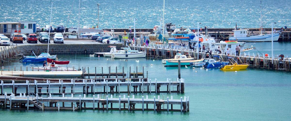 Mornington showing sailing, boating and a marina