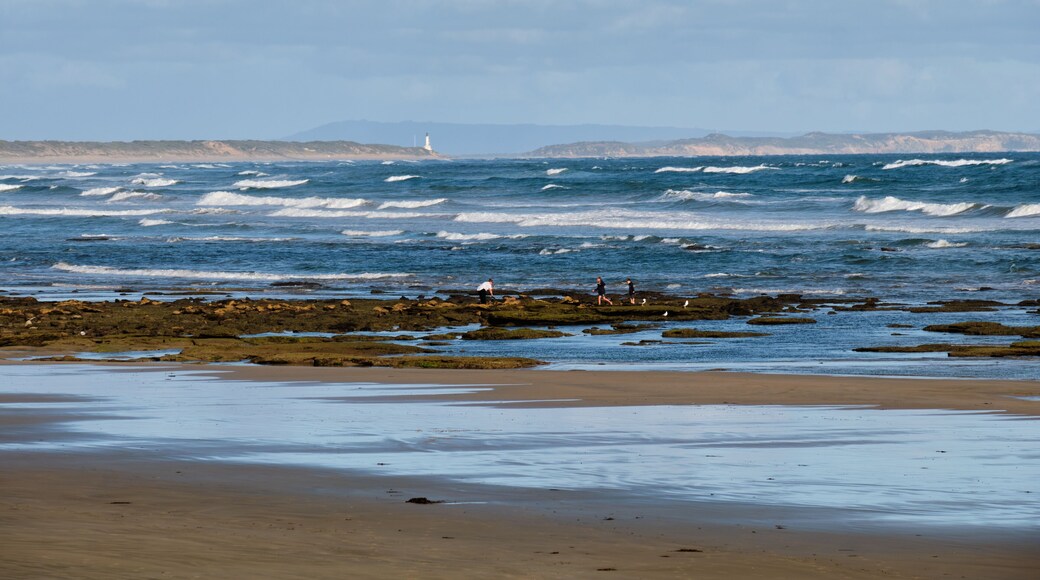 Ocean Grove