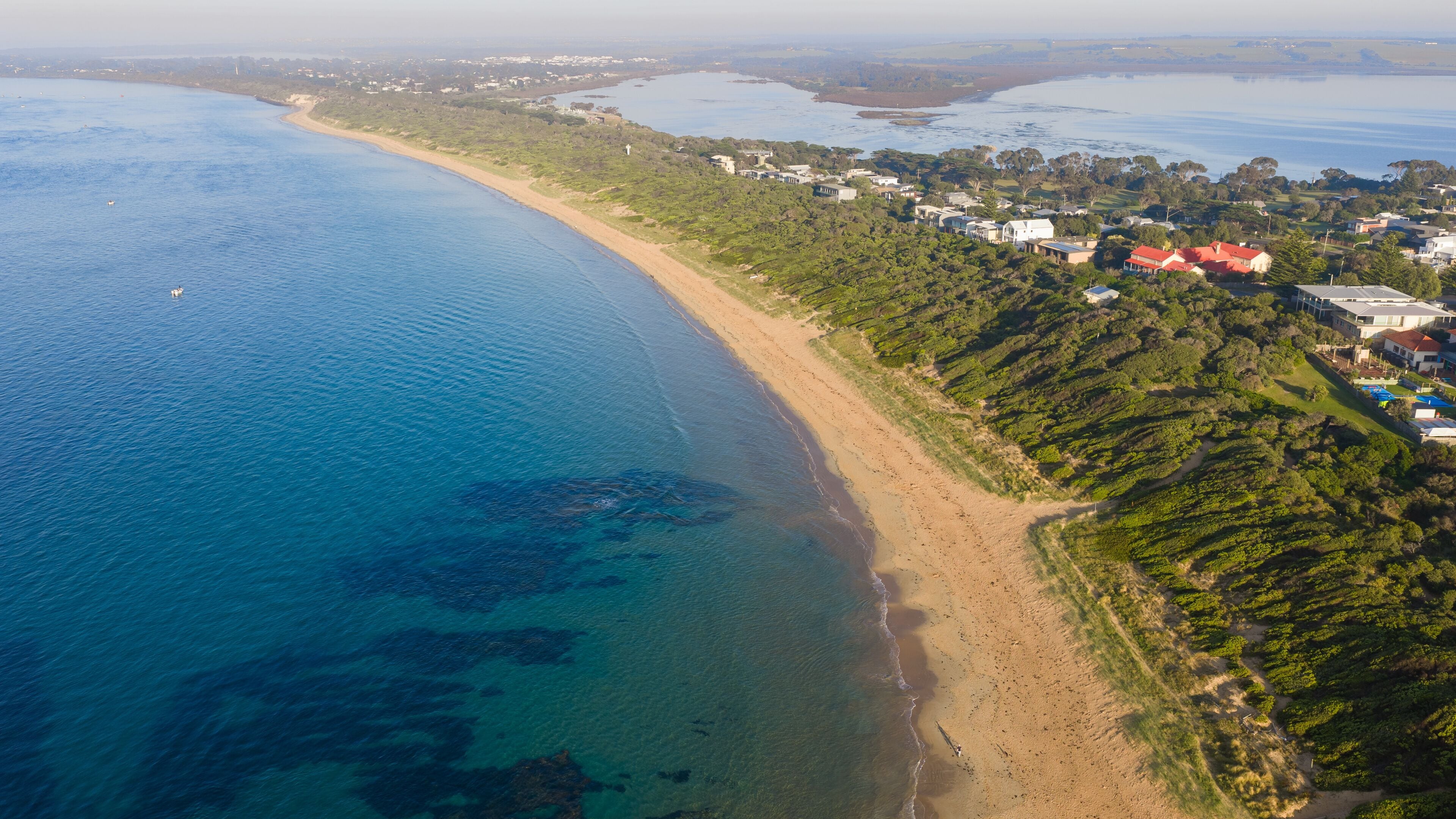 A long sandy beach and green foreshore stretching to the horizon