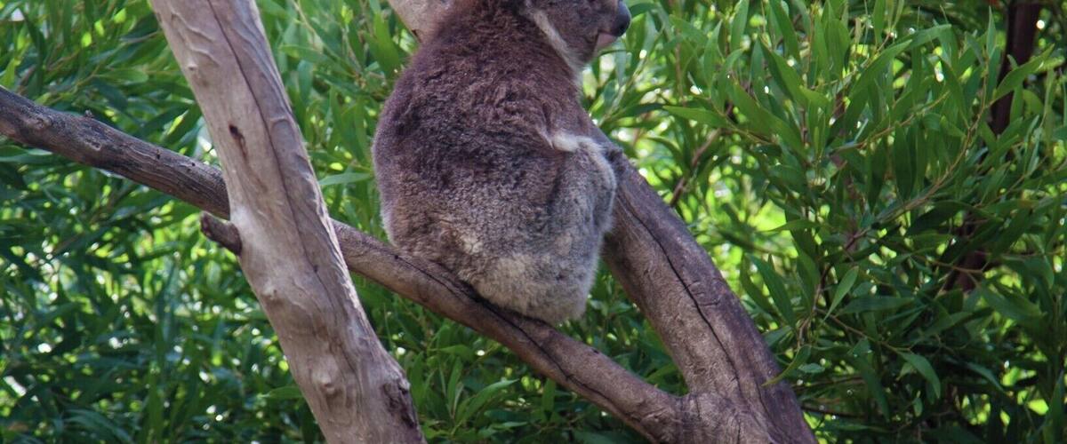 A great place to visit in Melbourne.