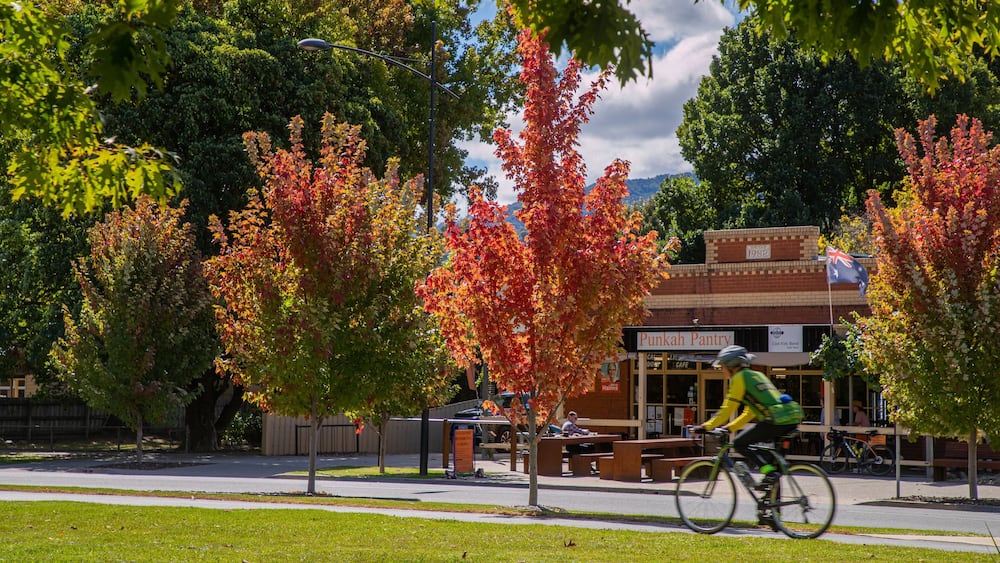 Un cycliste passe devant un bâtiment portant l’inscription « Punkah Pantry », avec des feuilles d’automne en arrière-plan.
