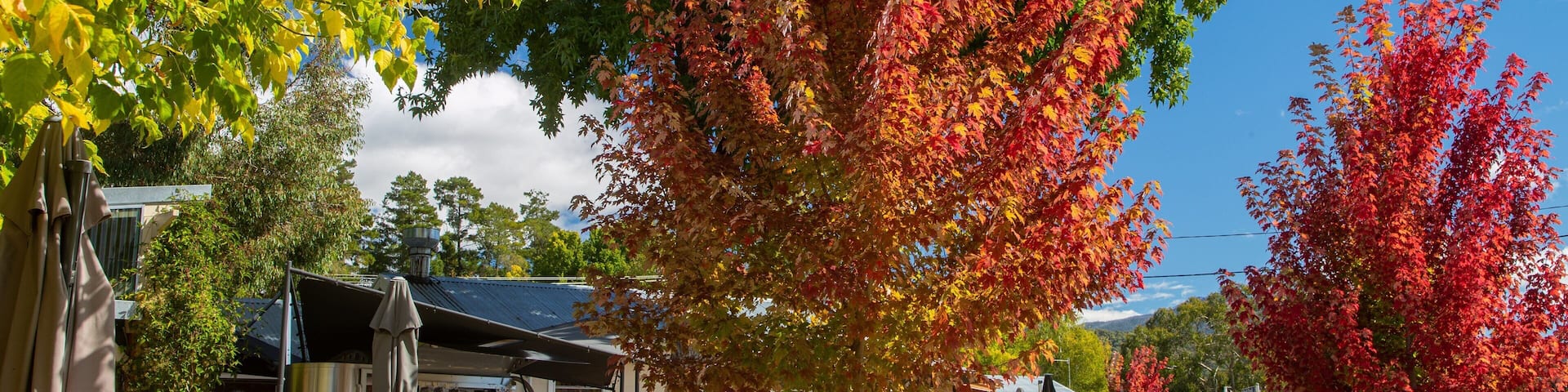 Porepunkah featuring a small town or village