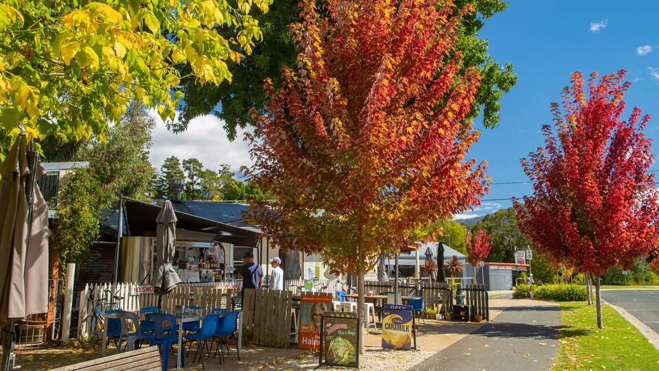 A roadside café with outdoor seating, autumn foliage, and a mountain in the background.