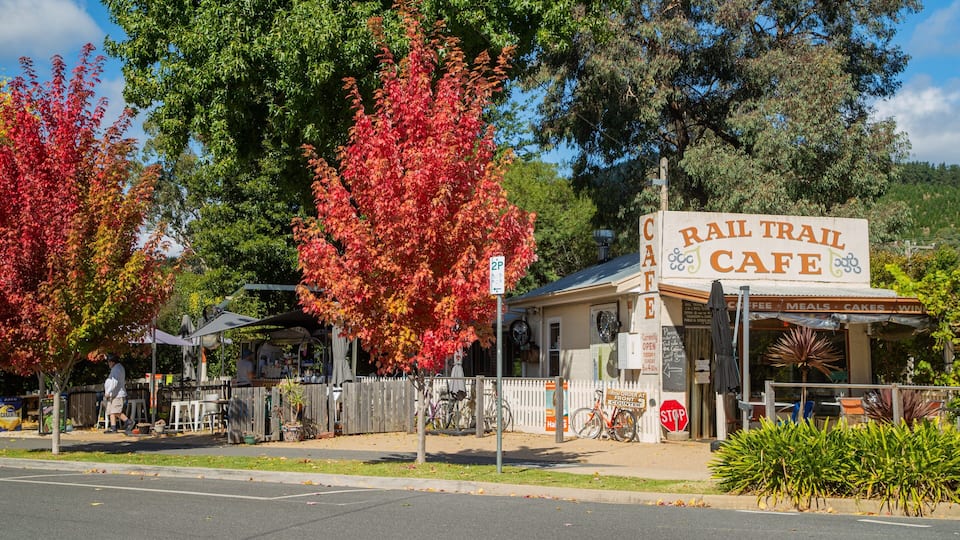 A Rail Trail Cafe with a signboard, a parking sign, and a stop sign.