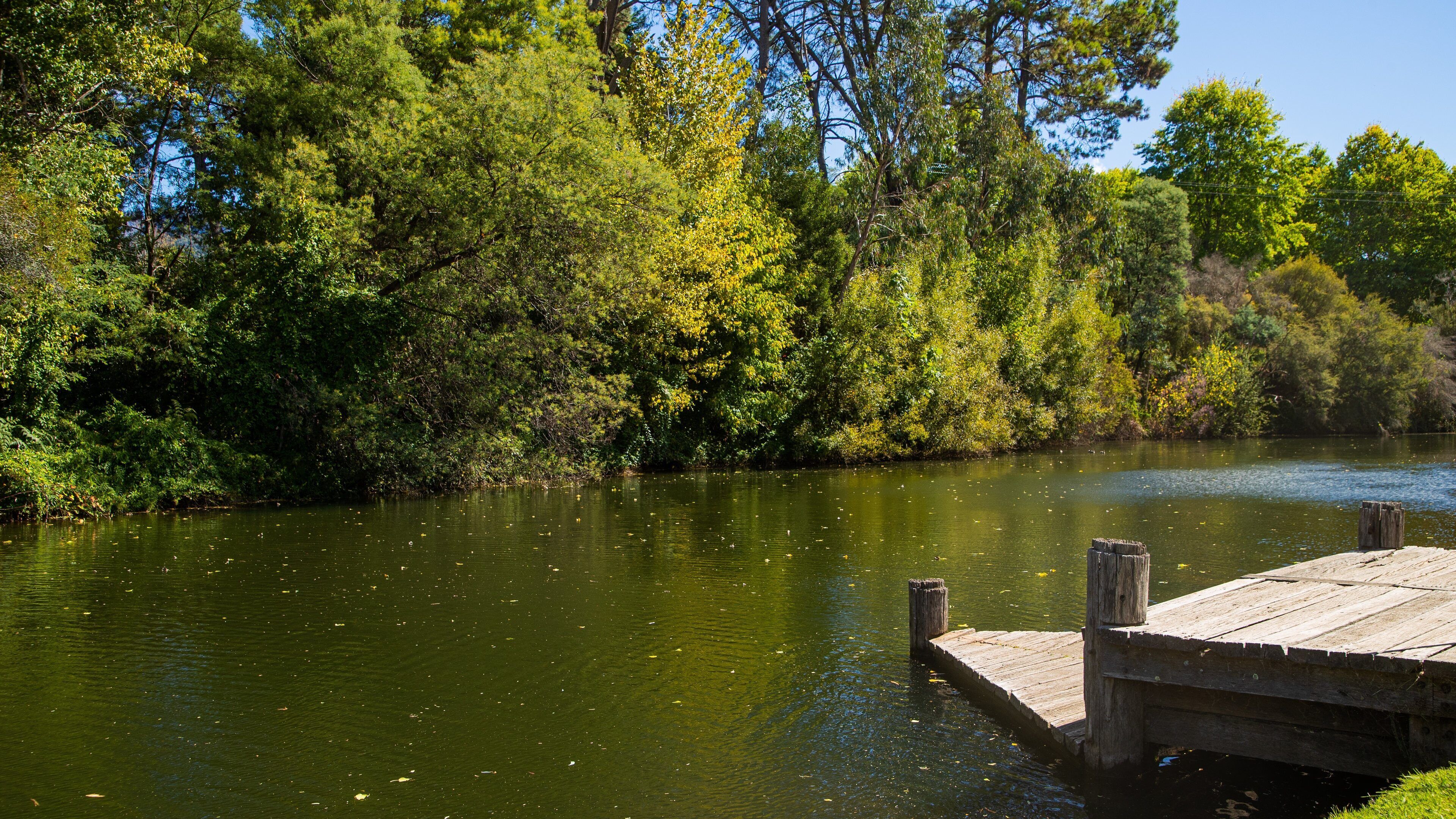 Porepunkah featuring a lake or waterhole