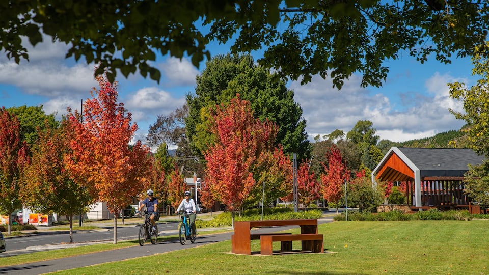 A park with autumn trees, a wooden bench, and a building with a sloped roof.