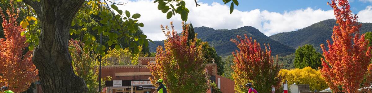 Porepunkah which includes a park and cycling as well as a small group of people