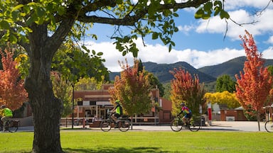 A park with cyclists, autumn trees, a building, and mountains in the background.