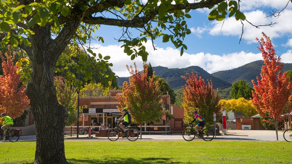 A park with cyclists, autumn trees, a building, and mountains in the background.