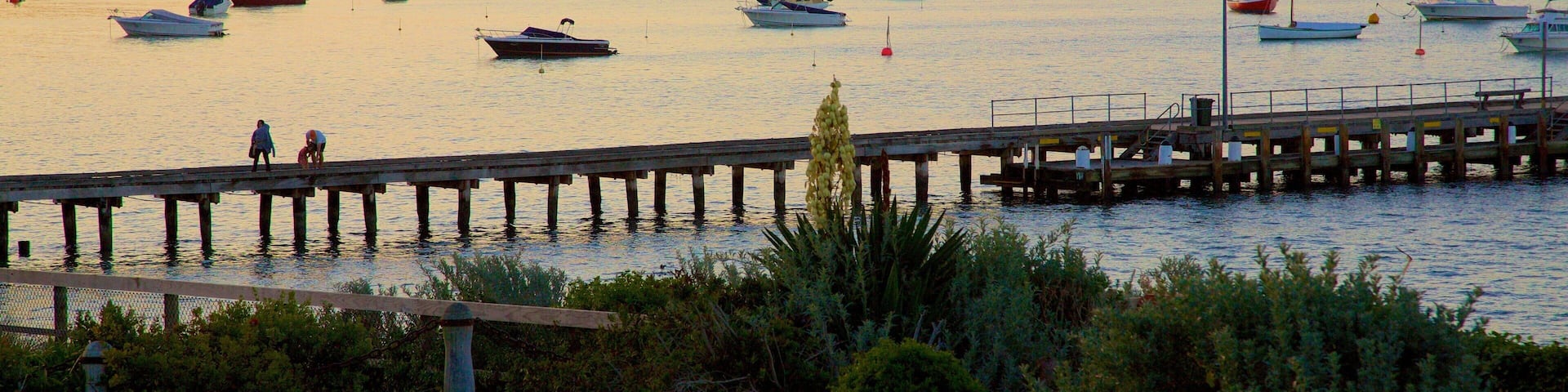 Portsea featuring general coastal views, sailing and a sunset