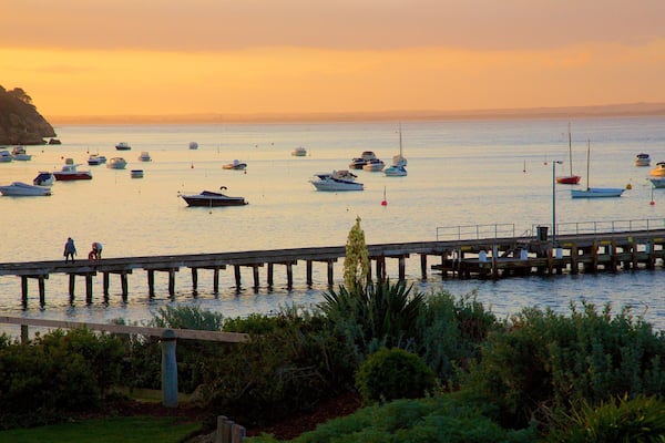 Portsea showing boating, sailing and general coastal views