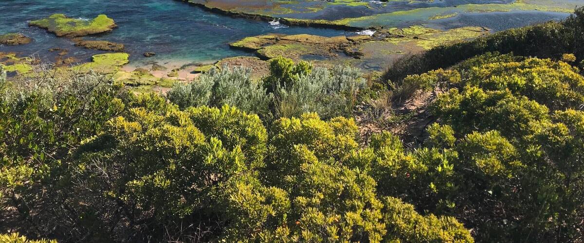 When visiting the Mornington Peninsula, make the time to explore Portsea and the stunning surrounding area! #SMDdoesOZ #MorningtonPeninsula #Australia