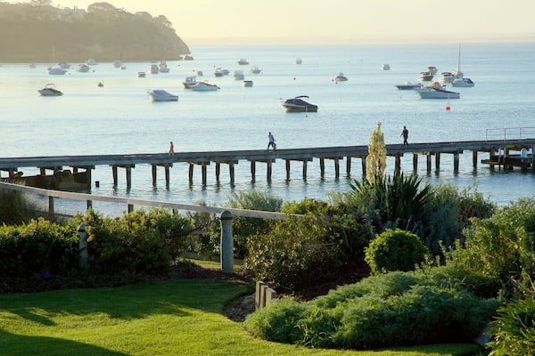 Portsea featuring general coastal views and boating