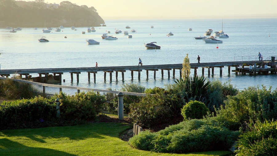 Portsea showing general coastal views and boating
