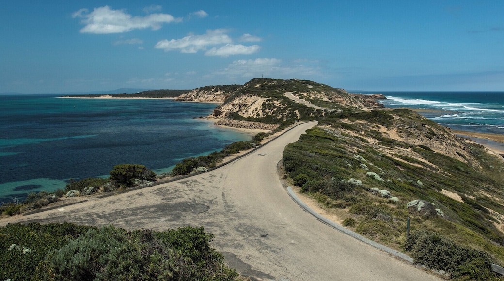 Located at the very tip of the Mornington Peninsula, Point Nepean Nation Park has a rich history that includes a quarantine station and old artillery fortifications that can be explored on foot by bike or shuttle bus. It also provide panoramic views of Port Phillip Bay, Bass Strait and the Rip at Port Phillip Heads.
This shot is the view from Fort Nepean, looking back to Fort Pearce and Eagles Nest.