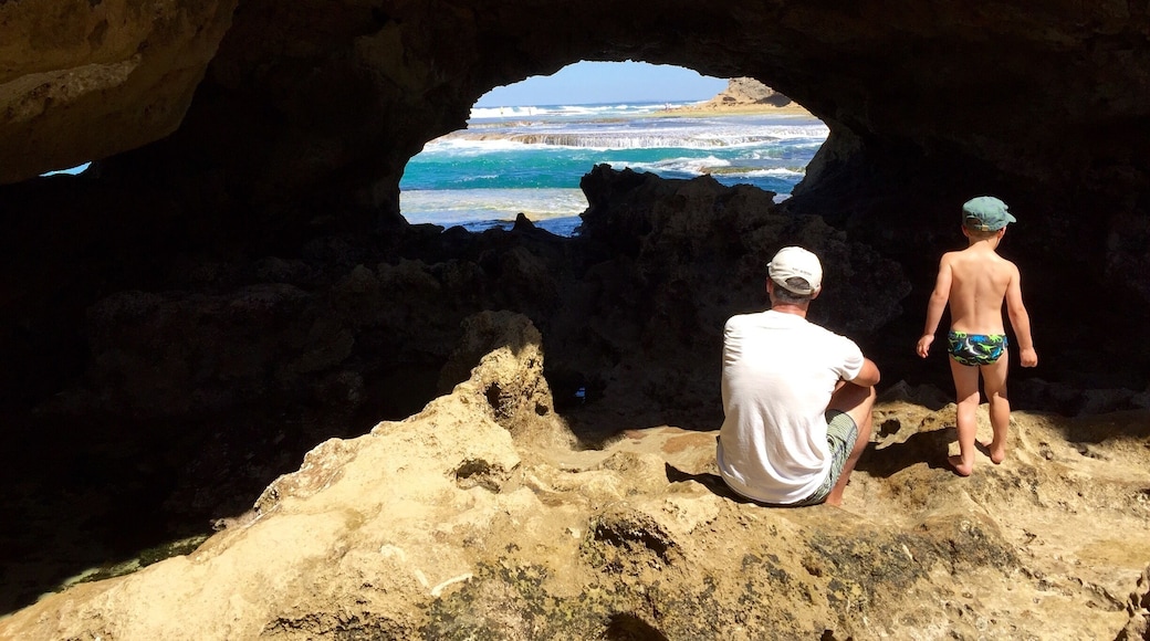 Take a wander down the beach from Portsea Surf Life Saving Club to London Bridge.
Don't forget your sunscreen, bathers and a hat!