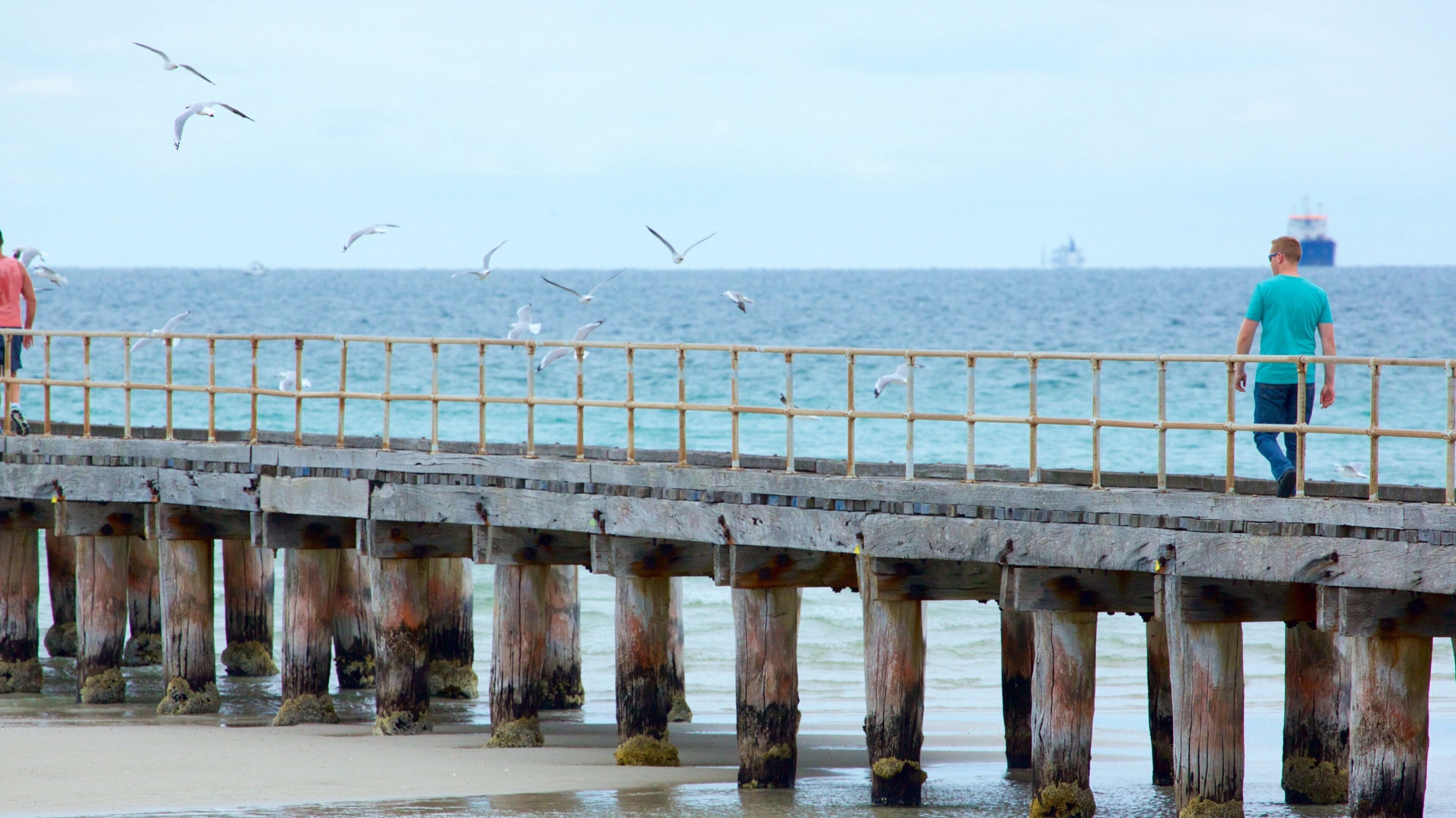 Rosebud which includes general coastal views as well as an individual male