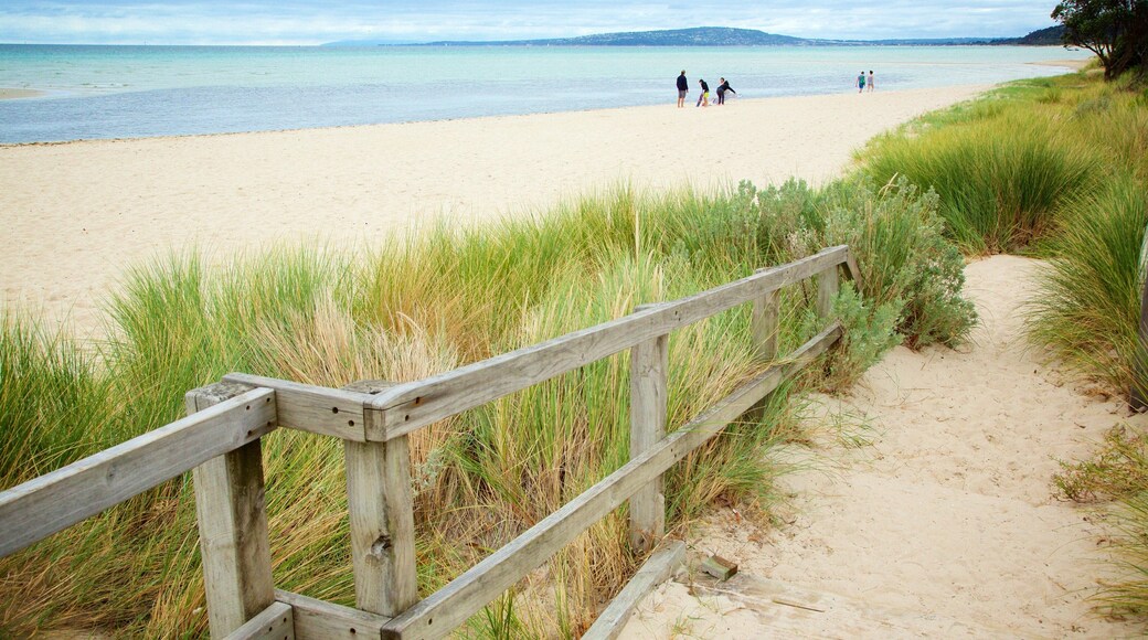 Rosebud showing a sandy beach