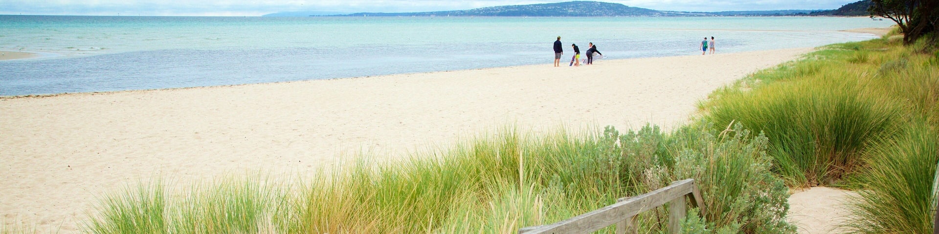 Rosebud showing a sandy beach