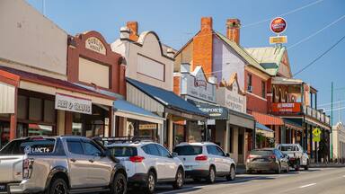 Rutherglen showing a small town or village