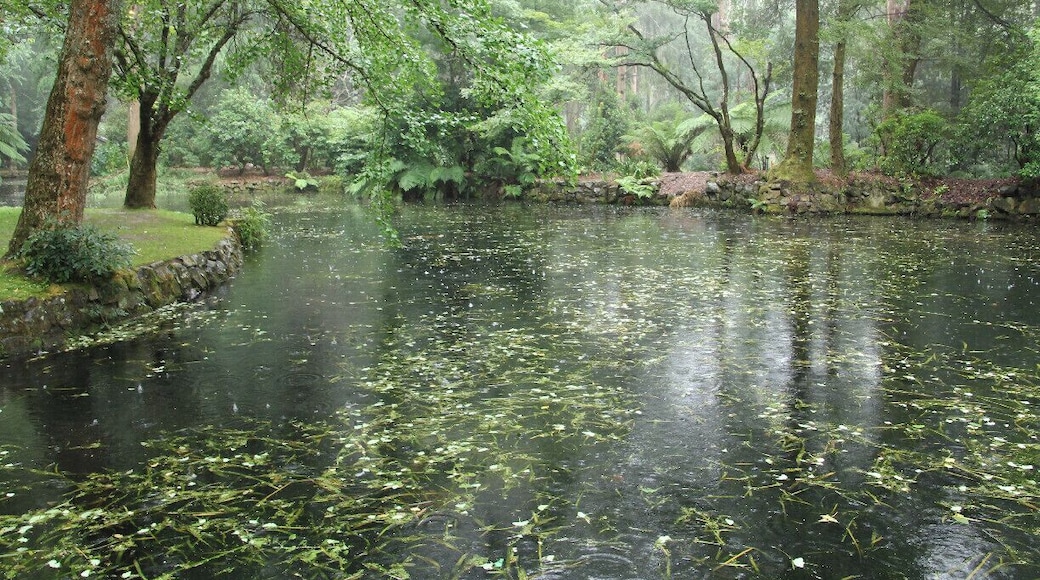 Beautiful gardens in Sherbrooke, VIC.