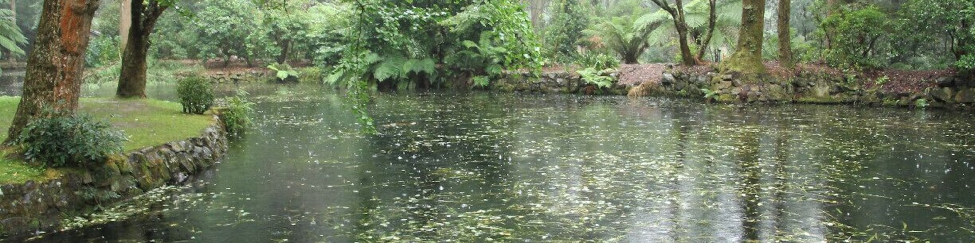 Beautiful gardens in Sherbrooke, VIC.