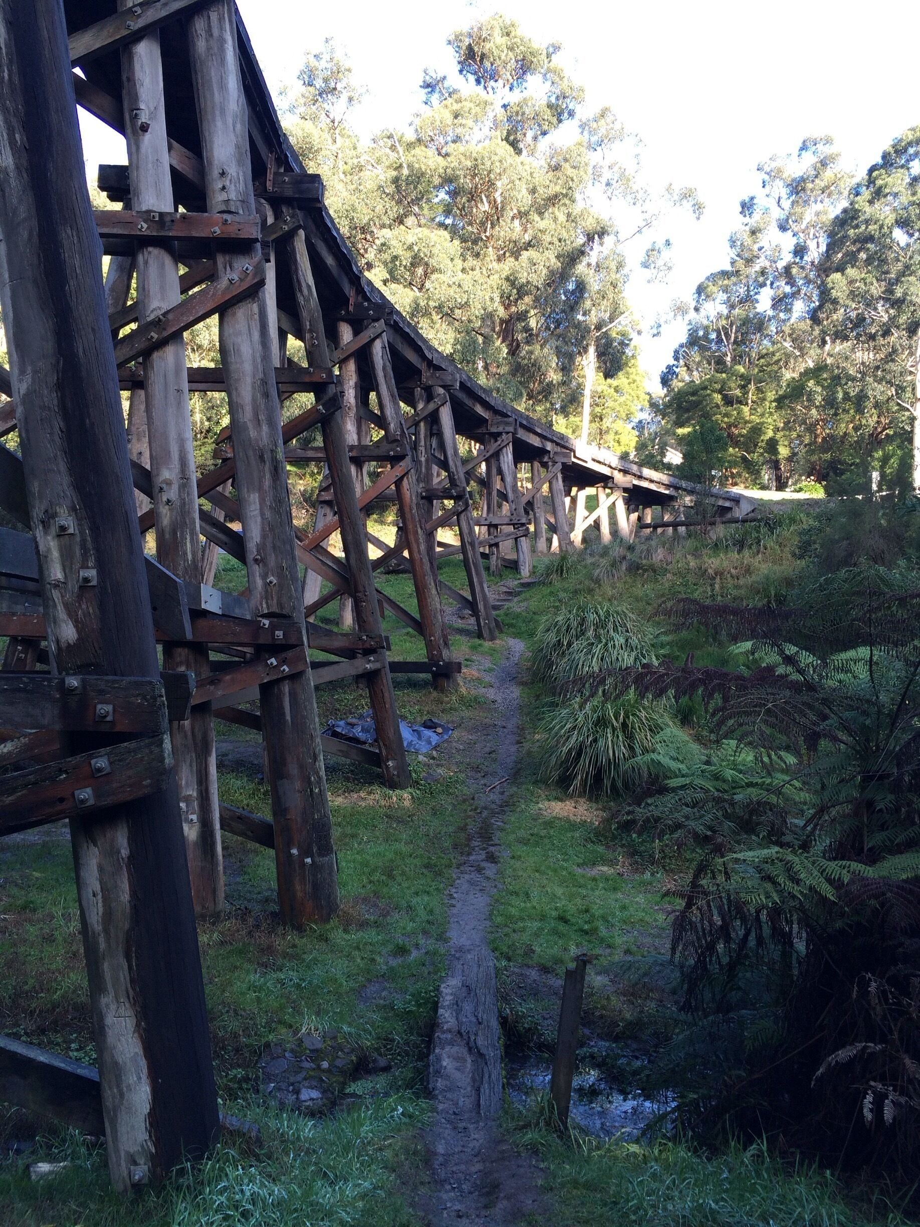"Saturday Afternoon" #Roadtrip today.
Trestle bridge over Menzies Creek in #TheDandenongs, not far from where I live in #Melbourne, Australia.