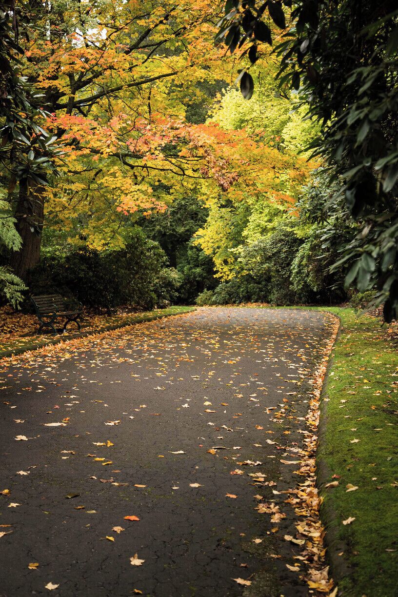 Go in Autumn and wear your walking shoes, the paths are steep and slippery with all the leaves underfoot. The colours are gorgeous. 
