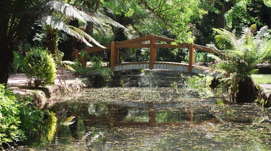 The Alfred Nicholas Gardens in the Dandenongs make you feel like you are transported to another time. It almost feels like you've stepped into a Monet painting. Worth spending an afternoon at #localgem