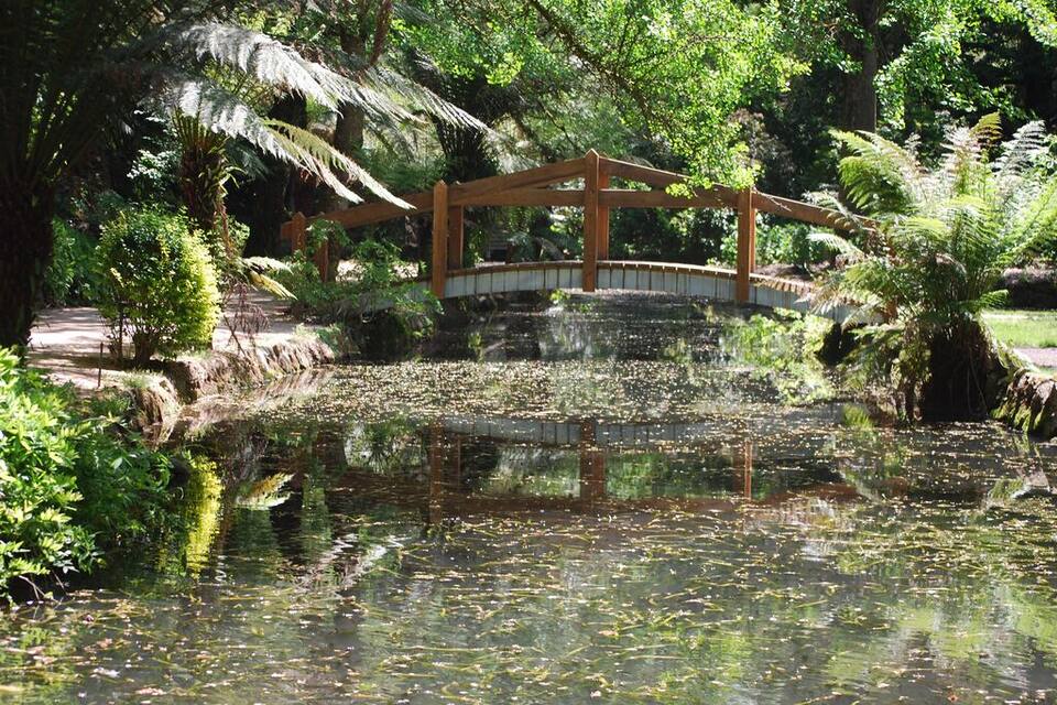 A wooden bridge over a pond with lily pads, surrounded by lush greenery and ferns.