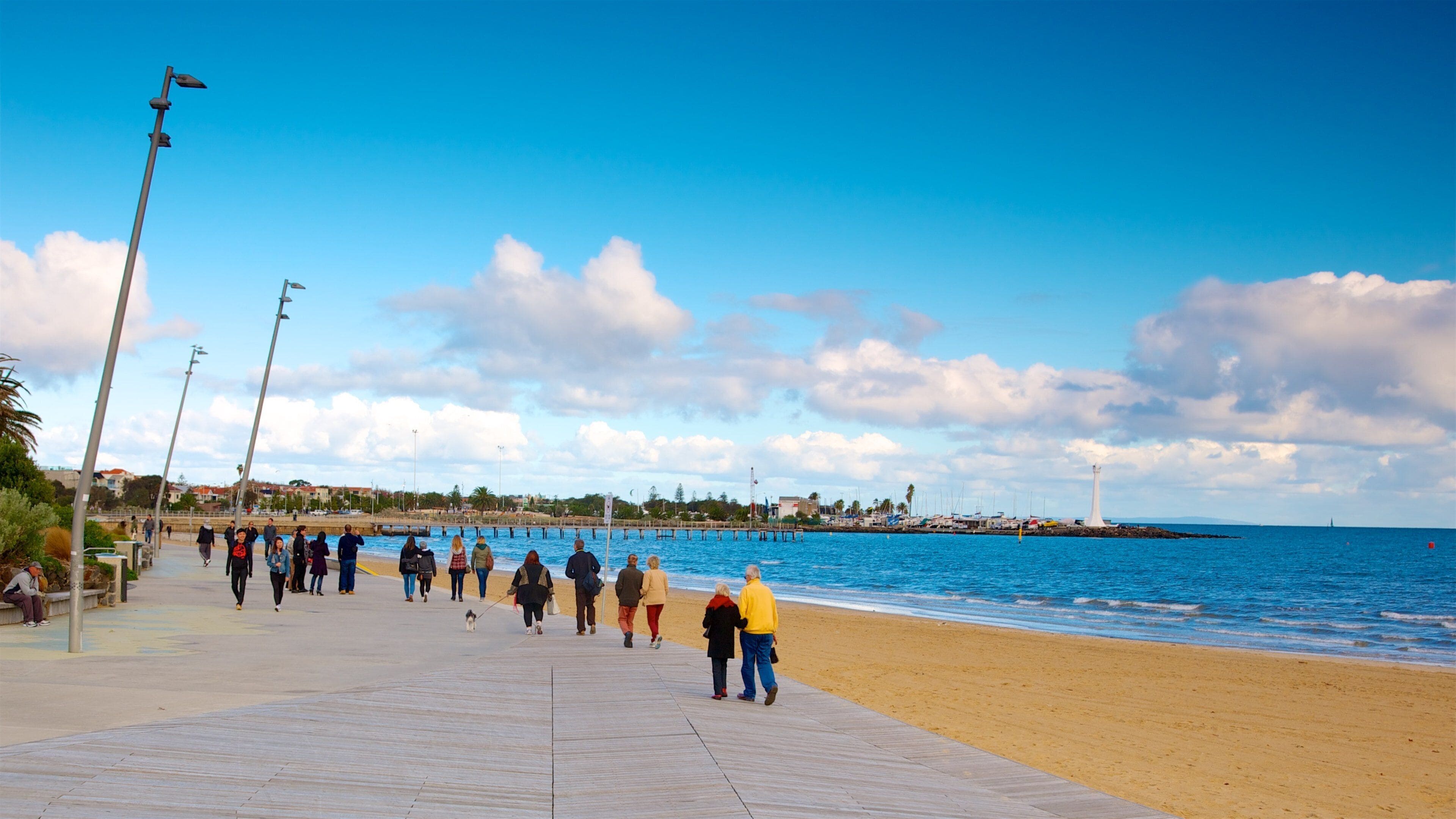 St. Kilda featuring general coastal views and a sandy beach as well as a small group of people
