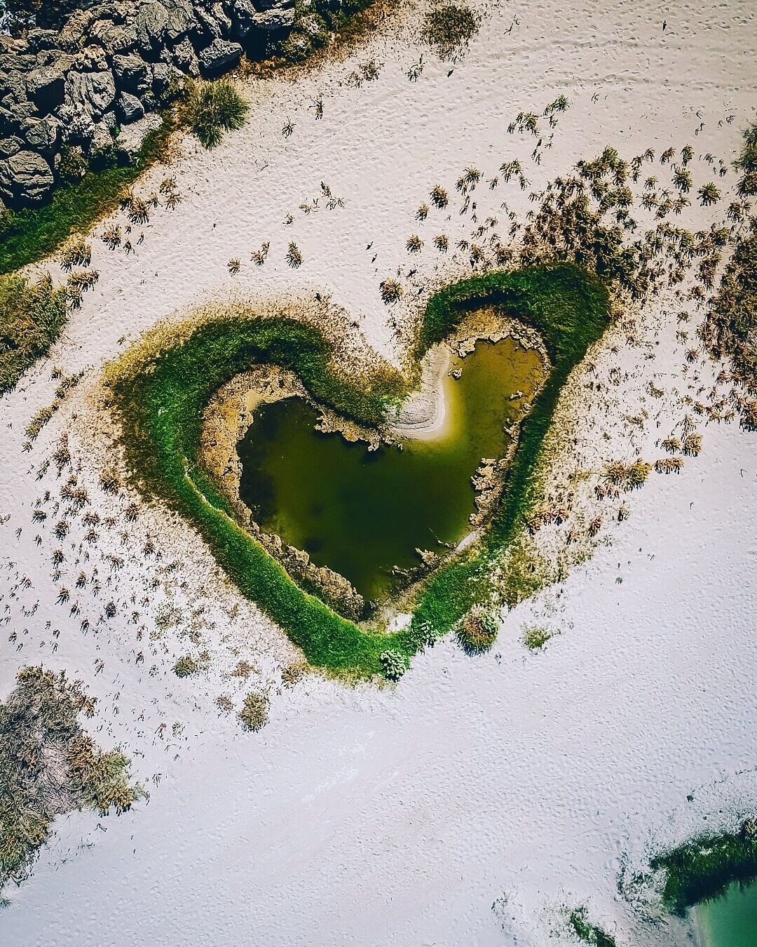 Came across this little green gem while venturing off the beaten path in North Coogee, WA! Sending all y’all a lot of love! 🤗 #dji #lifeatexpedia
