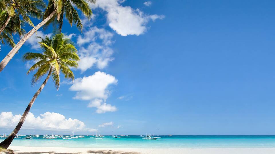A beach with palm trees, clear blue sky, and turquoise water with boats.