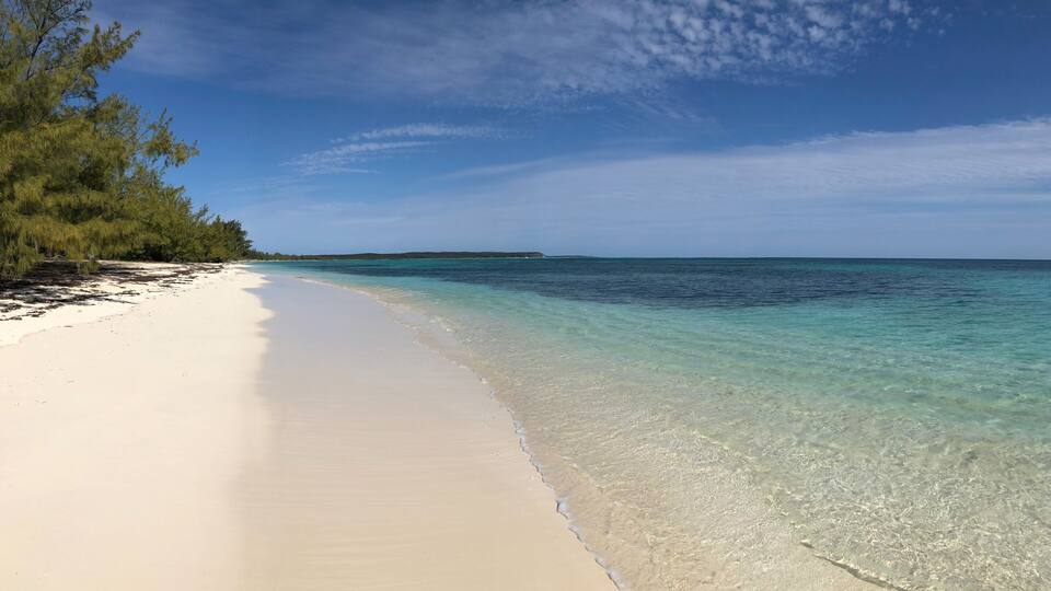 A beach with clear turquoise water, white sand, and green vegetation.