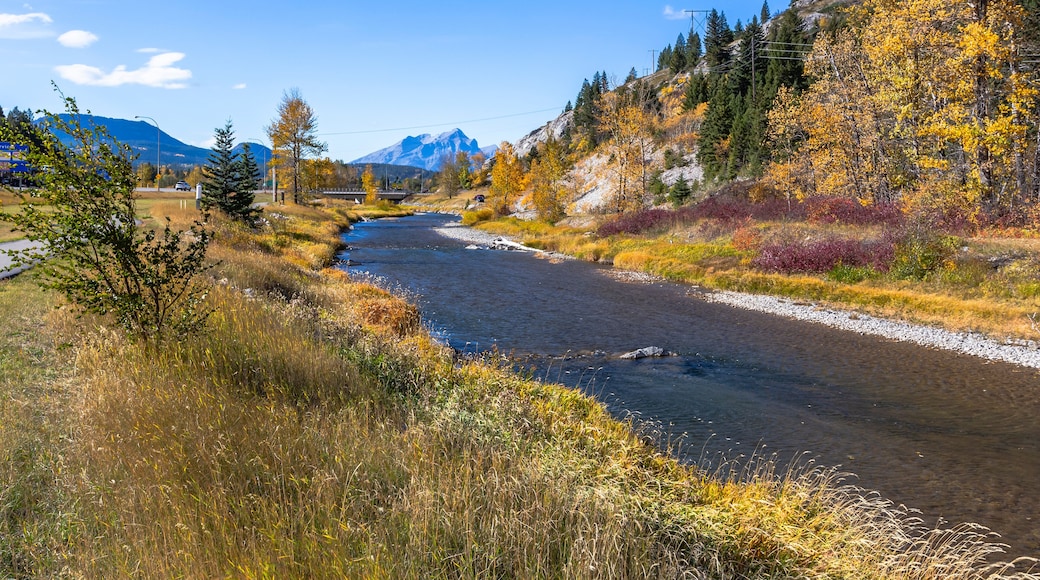 Autumn view from a walking path along the river in Blairmore, Alberta