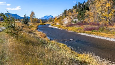 Autumn view from a walking path along the river in Blairmore, Alberta