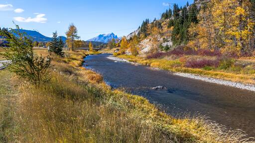 Autumn view from a walking path along the river in Blairmore, Alberta