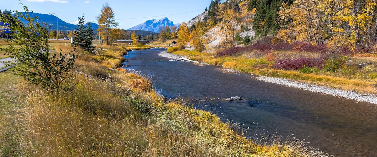A river flowing through a mountainous area with autumn foliage and a bridge in the distance.