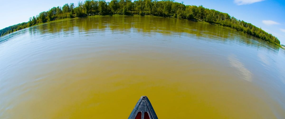 A calm river with a forested island in the background.