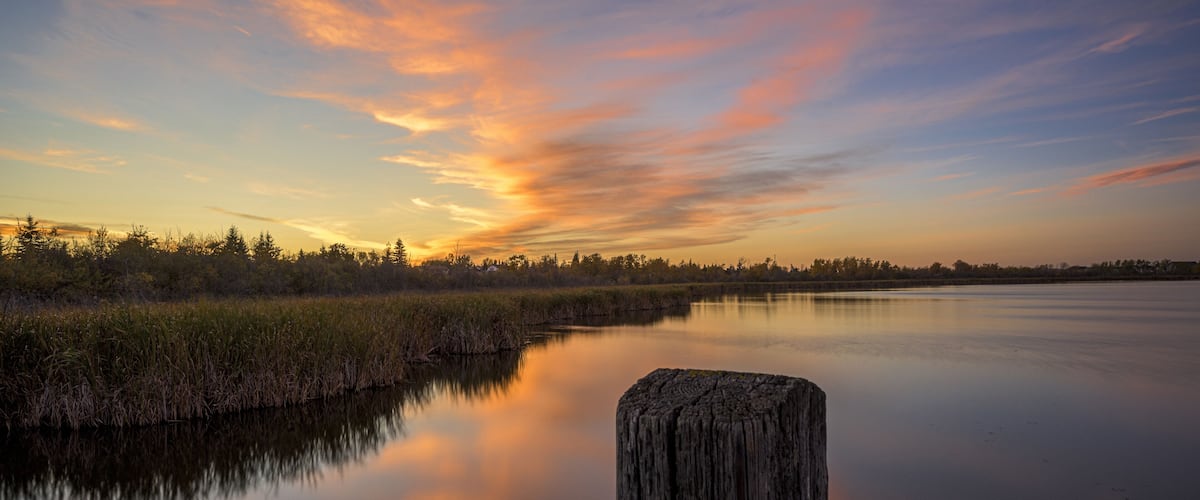 A calm river with a wooden post in the foreground, surrounded by reeds and trees under a sunset sky.