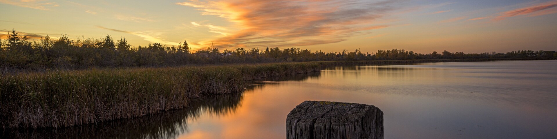 A calm river with a wooden post in the foreground, surrounded by reeds and trees under a sunset sky.