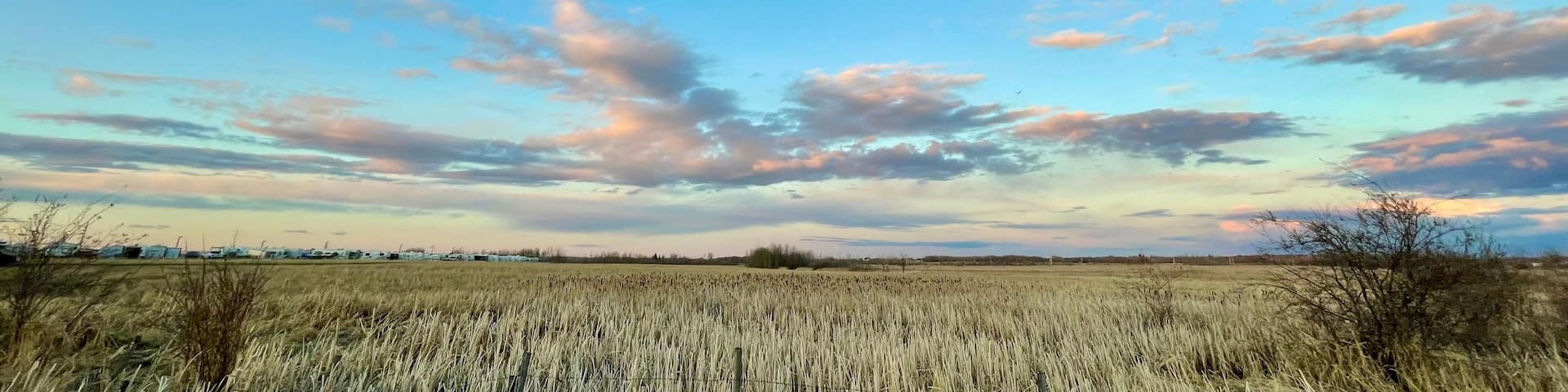 Grande Prairie, Alberta, Canada, field of grass