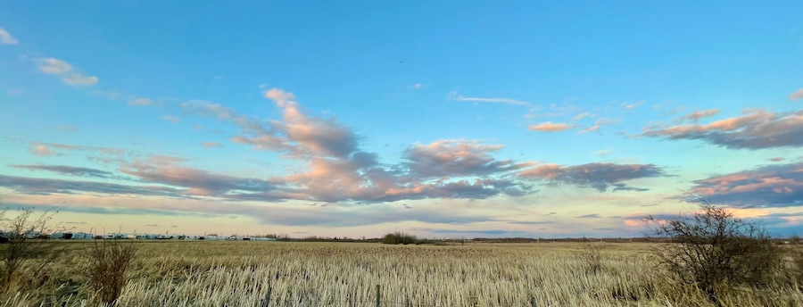Grande Prairie, Alberta, Canada, field of grass
