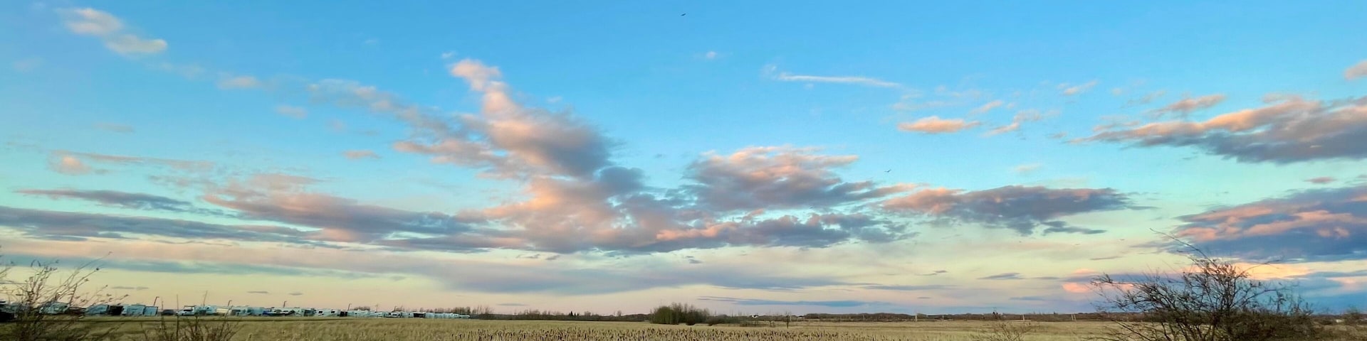 Grande Prairie, Alberta, Canada, field of grass