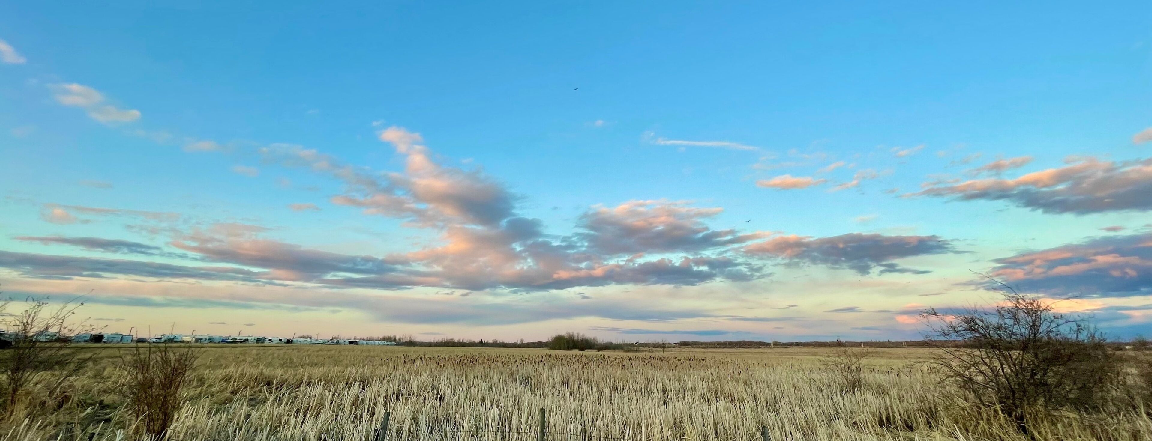 A wide-open field with a clear sky and scattered clouds.