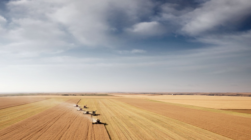 Harvest Aerial Landscape