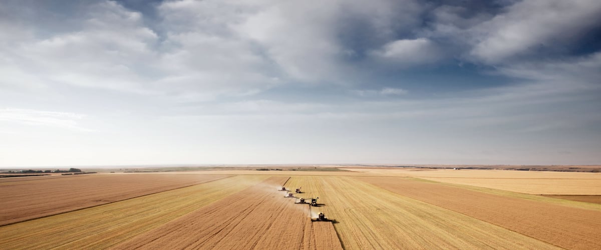 Harvest Aerial Landscape