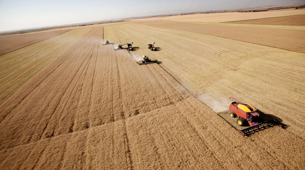 Aerial Harvest Landscape
